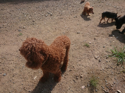 f:id:roukenhome-ann:20190826181841j:plain