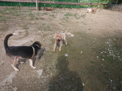 f:id:roukenhome-ann:20190826181901j:plain