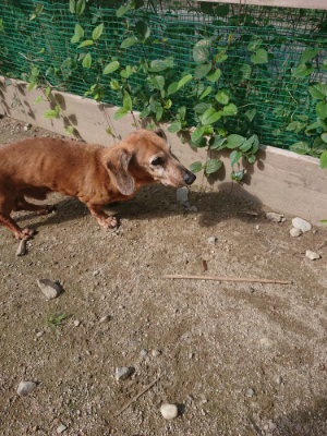 f:id:roukenhome-ann:20190826181928j:plain