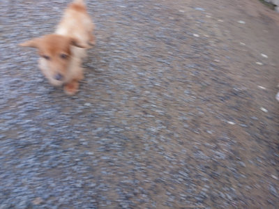 f:id:roukenhome-ann:20190826181942j:plain