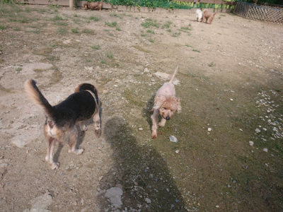 f:id:roukenhome-ann:20190826181953j:plain