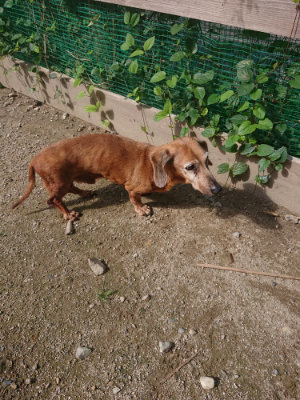 f:id:roukenhome-ann:20190826182001j:plain