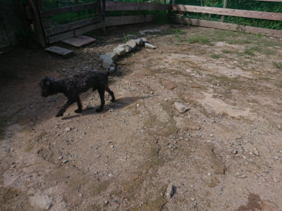 f:id:roukenhome-ann:20190826182040j:plain