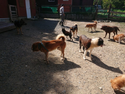 f:id:roukenhome-ann:20190826182056j:plain