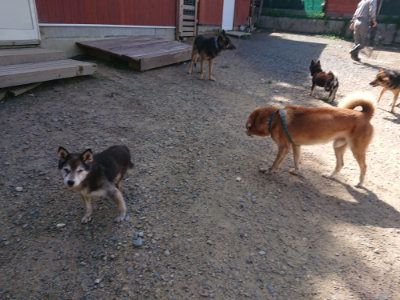 f:id:roukenhome-ann:20190826182102j:plain