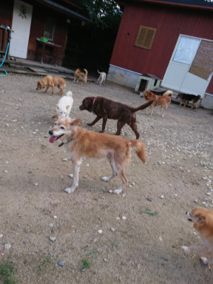 f:id:roukenhome-ann:20190826183142j:plain