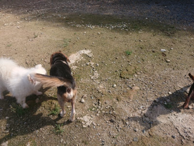 f:id:roukenhome-ann:20190826183156j:plain