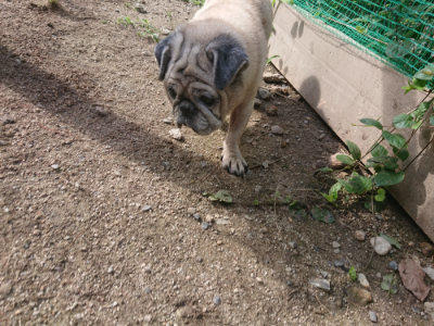 f:id:roukenhome-ann:20190826183202j:plain