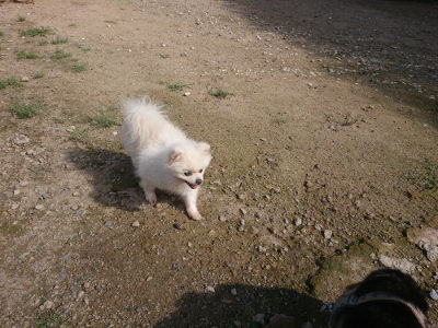 f:id:roukenhome-ann:20190826183256j:plain