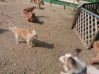 f:id:roukenhome-ann:20190826183357j:plain