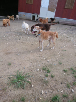 f:id:roukenhome-ann:20190826183403j:plain