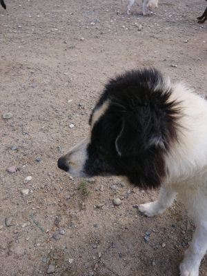 f:id:roukenhome-ann:20190826183452j:plain