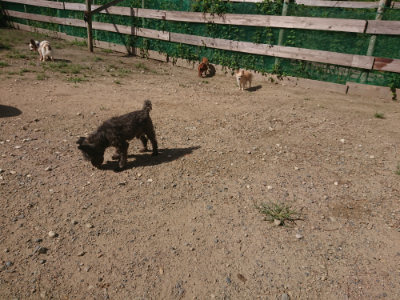f:id:roukenhome-ann:20190826183528j:plain