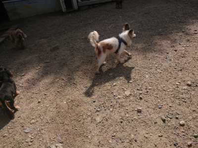 f:id:roukenhome-ann:20190826185246j:plain