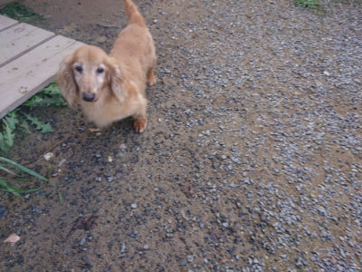 f:id:roukenhome-ann:20190826185258j:plain