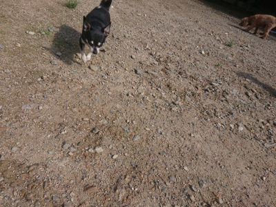 f:id:roukenhome-ann:20190826185304j:plain
