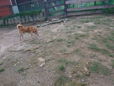 f:id:roukenhome-ann:20190826185336j:plain