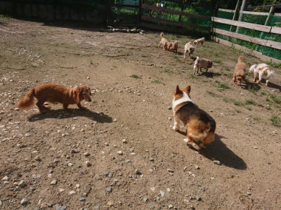 f:id:roukenhome-ann:20190826185443j:plain