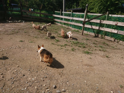f:id:roukenhome-ann:20190826185455j:plain