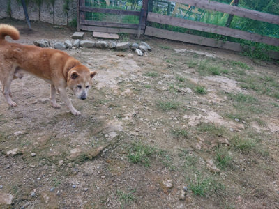 f:id:roukenhome-ann:20190826185507j:plain
