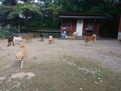 f:id:roukenhome-ann:20190826185512j:plain