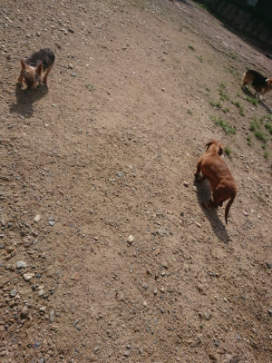 f:id:roukenhome-ann:20190826185530j:plain