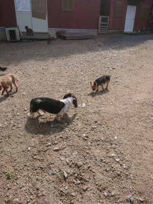 f:id:roukenhome-ann:20190826185543j:plain