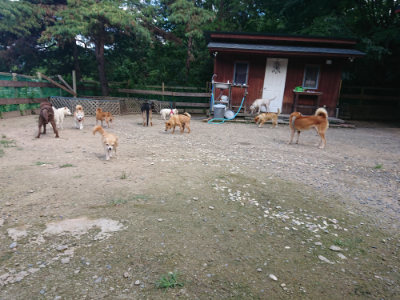 f:id:roukenhome-ann:20190826185617j:plain