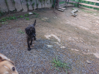 f:id:roukenhome-ann:20190826185709j:plain
