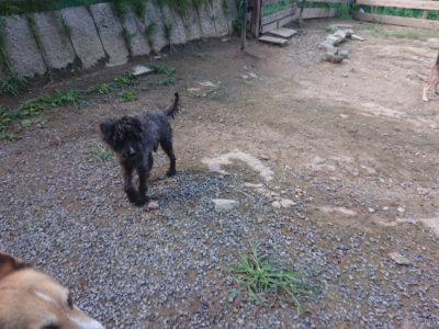 f:id:roukenhome-ann:20190826185733j:plain