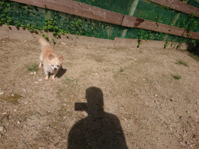 f:id:roukenhome-ann:20190826185740j:plain