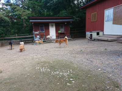 f:id:roukenhome-ann:20190826185808j:plain