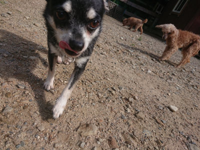 f:id:roukenhome-ann:20190826185826j:plain