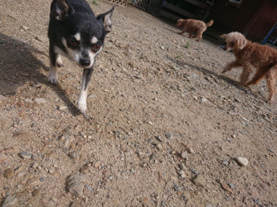 f:id:roukenhome-ann:20190826185845j:plain
