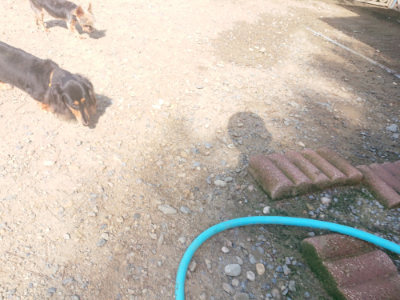 f:id:roukenhome-ann:20190826190557j:plain
