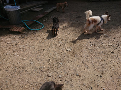 f:id:roukenhome-ann:20190826190614j:plain