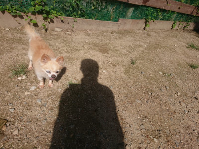 f:id:roukenhome-ann:20190826190632j:plain