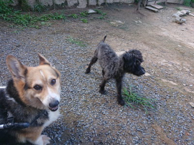 f:id:roukenhome-ann:20190826190647j:plain