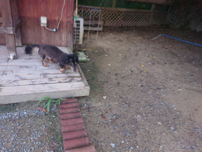 f:id:roukenhome-ann:20190826190652j:plain
