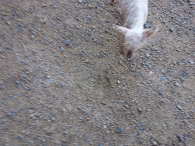 f:id:roukenhome-ann:20190826190727j:plain