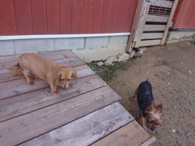 f:id:roukenhome-ann:20190826190732j:plain