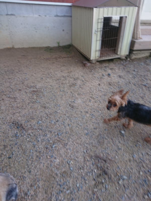 f:id:roukenhome-ann:20190826190757j:plain