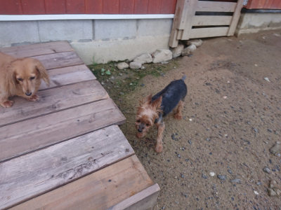 f:id:roukenhome-ann:20190826190807j:plain