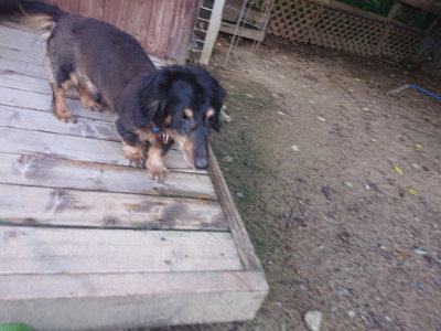 f:id:roukenhome-ann:20190826190823j:plain