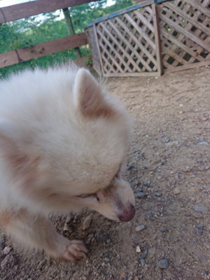 f:id:roukenhome-ann:20190826190836j:plain