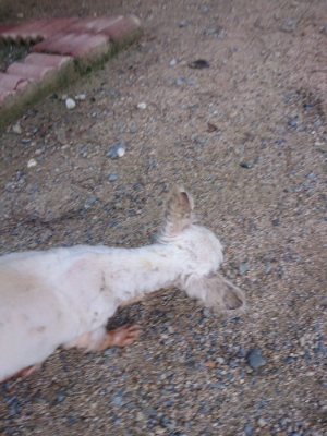 f:id:roukenhome-ann:20190826190852j:plain