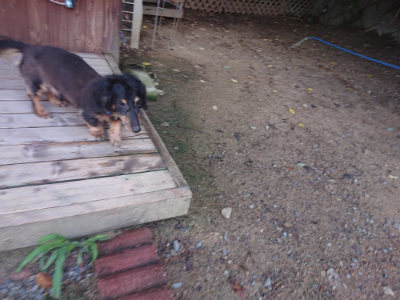 f:id:roukenhome-ann:20190826190858j:plain