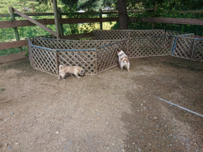 f:id:roukenhome-ann:20190826190918j:plain