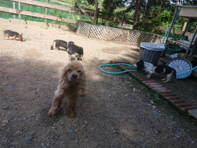 f:id:roukenhome-ann:20190826190935j:plain