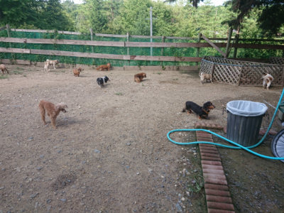 f:id:roukenhome-ann:20190826190941j:plain